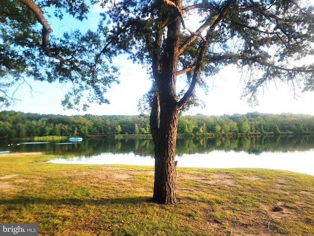 water view