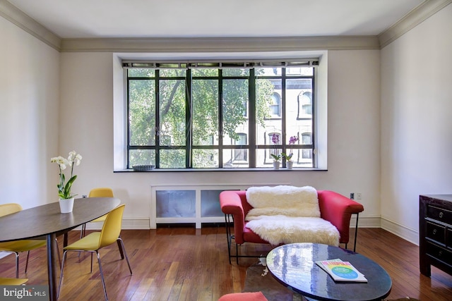 living area with dark hardwood / wood-style floors, ornamental molding, and a wealth of natural light