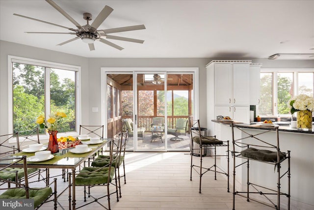 dining space with plenty of natural light, ceiling fan, and light wood-type flooring