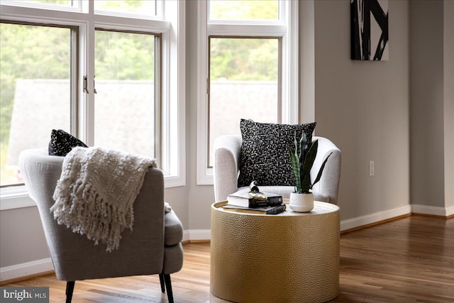 living area featuring hardwood / wood-style flooring and plenty of natural light
