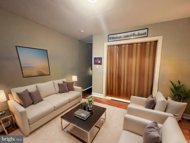 living room featuring light hardwood / wood-style flooring