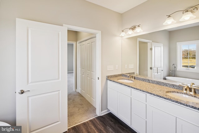 bathroom with a bathtub, wood-type flooring, and vanity