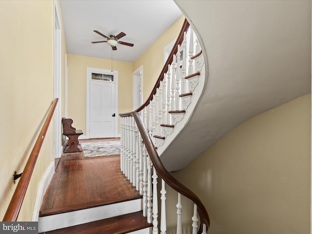 stairway featuring ceiling fan and hardwood / wood-style flooring