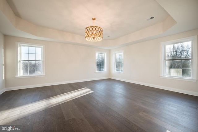 spare room featuring plenty of natural light, a tray ceiling, and dark hardwood / wood-style flooring