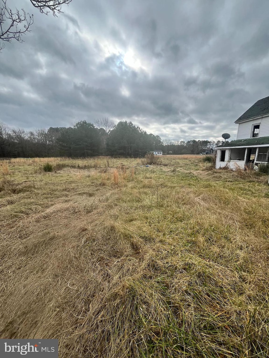 view of yard featuring a rural view