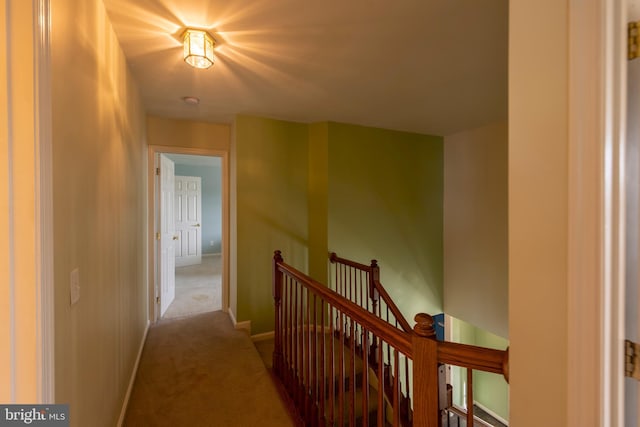 corridor featuring light colored carpet