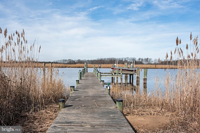 dock area featuring a water view