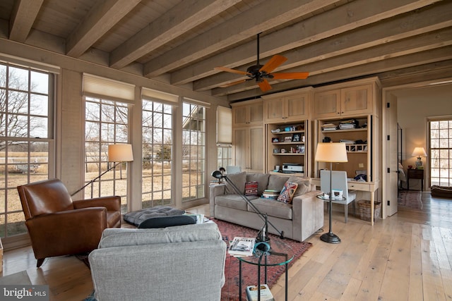 living room with wood ceiling, ceiling fan, light wood-type flooring, and beamed ceiling