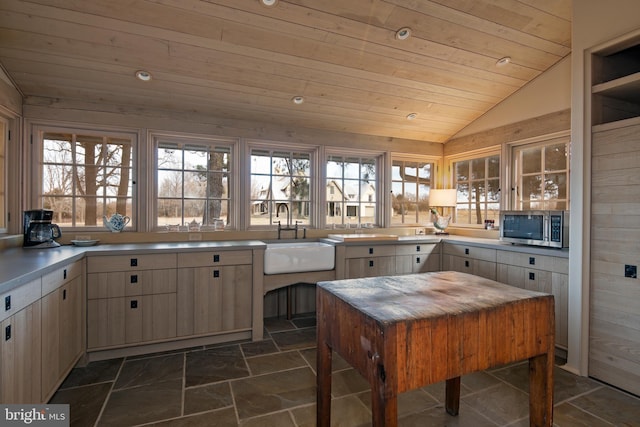 kitchen with dark tile floors, lofted ceiling, a wealth of natural light, and sink