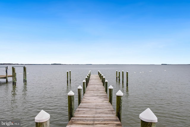 dock area featuring a water view
