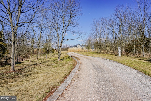 view of road