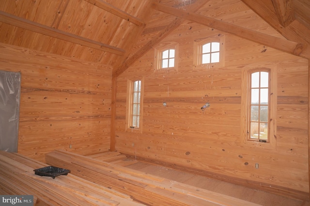 view of sauna / steam room featuring a wealth of natural light, wood ceiling, and wooden walls