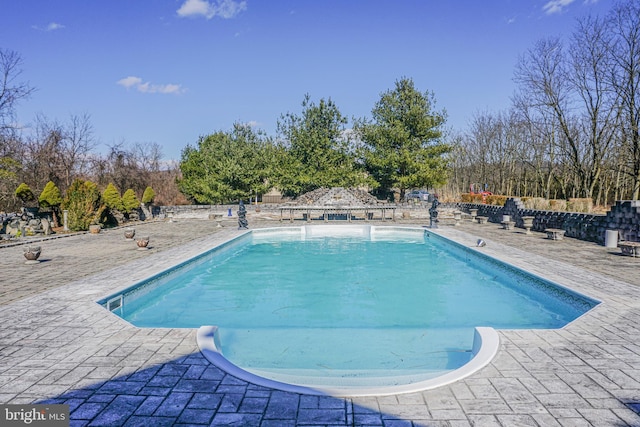 view of swimming pool with a patio