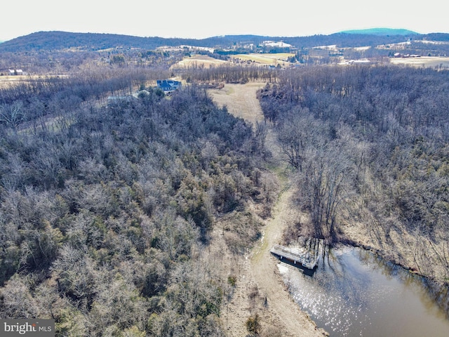 birds eye view of property with a water and mountain view