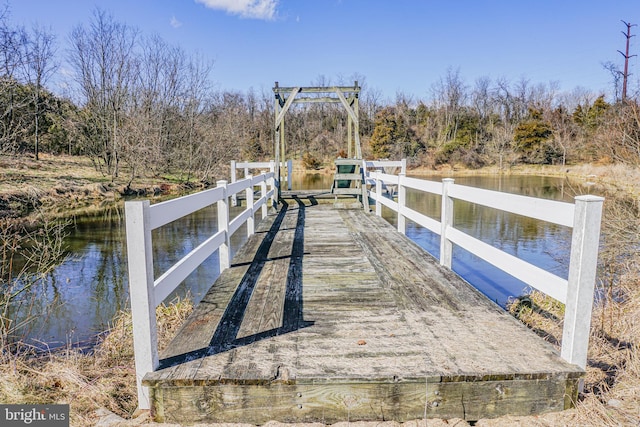 dock area with a water view