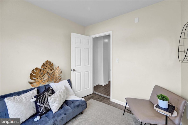 sitting room featuring wood-type flooring