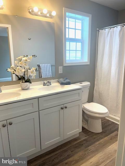 19 Pacific Ave, Milroy, PA 17063 - bathroom with hardwood / wood-style flooring, vanity, and toilet