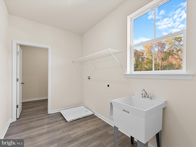 washroom with electric dryer hookup, sink, hookup for a washing machine, and hardwood / wood-style flooring