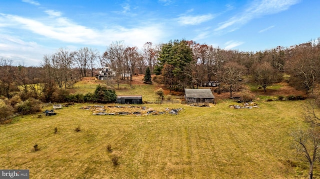 view of yard with a rural view