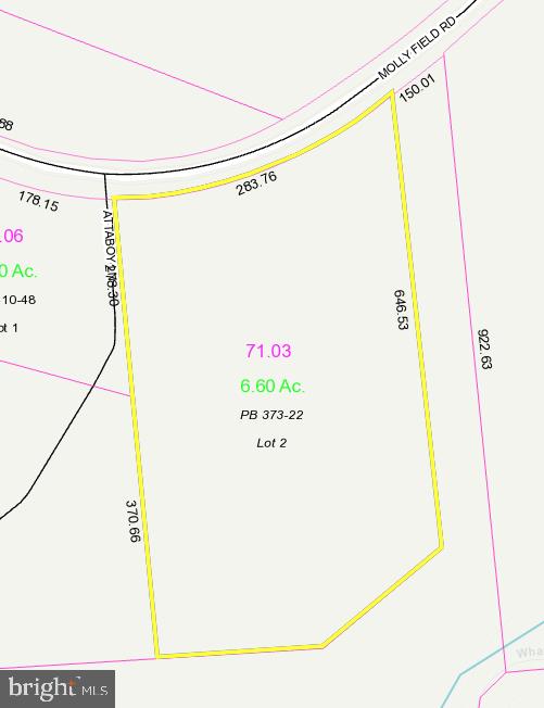 LOT2 Molly Field Rd, Dagsboro, DE 19939