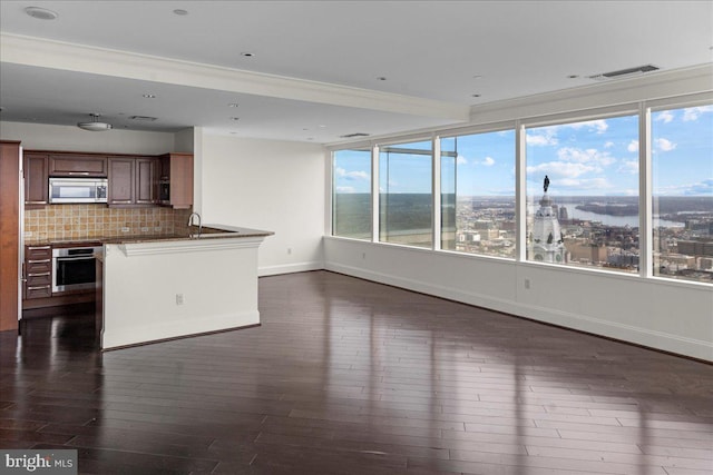 kitchen with tasteful backsplash, a healthy amount of sunlight, appliances with stainless steel finishes, and dark wood-type flooring