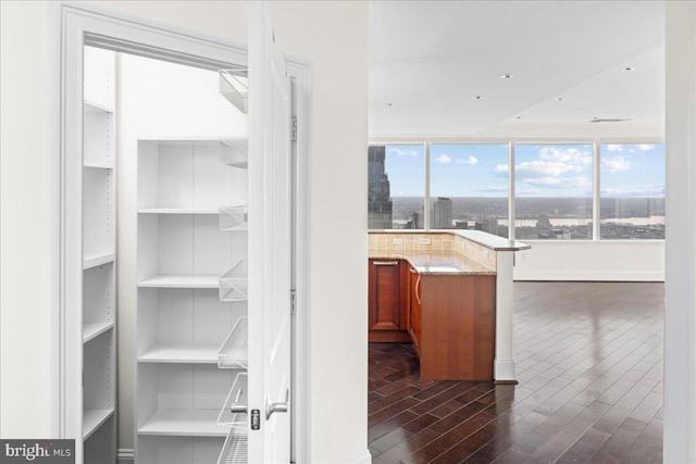 kitchen featuring dark hardwood / wood-style flooring, light stone countertops, and a healthy amount of sunlight