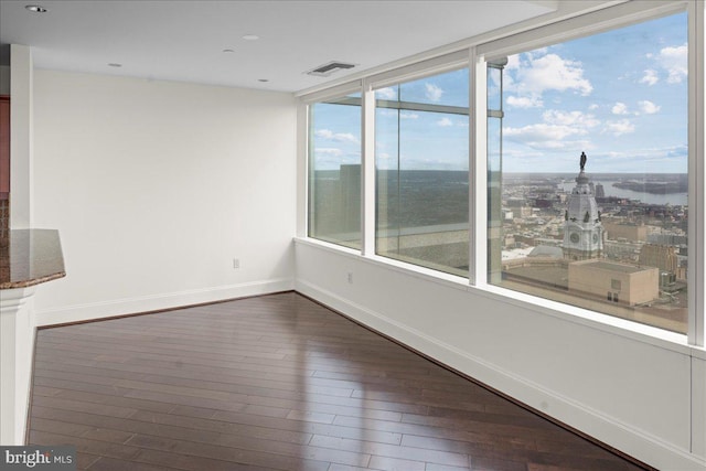 spare room featuring plenty of natural light and dark hardwood / wood-style floors