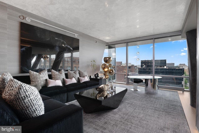 living room with floor to ceiling windows and hardwood / wood-style floors