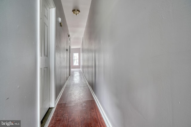 hallway featuring dark wood-type flooring