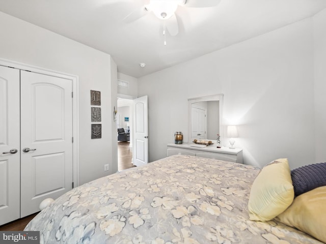 bedroom with ceiling fan, a closet, and dark wood-type flooring