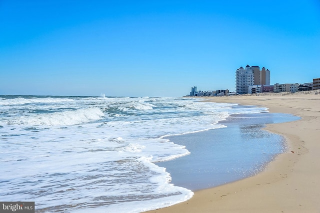 water view featuring a beach view