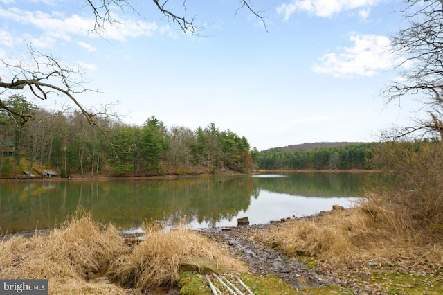 Listing photo 2 for LOT2 Harvey Peninsula Rd, Swanton MD 21561