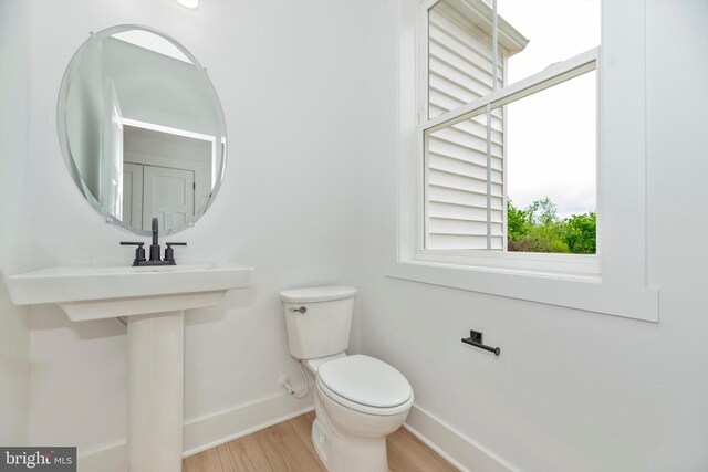 bathroom with toilet and hardwood / wood-style floors