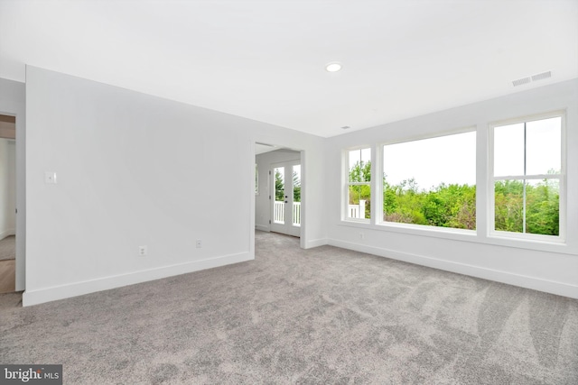 spare room with a wealth of natural light and light carpet