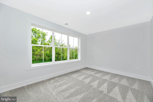 empty room featuring a wealth of natural light and light carpet