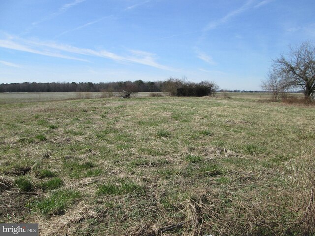 3622 Laurel Grove Rd, Federalsburg MD, 21632 land for sale