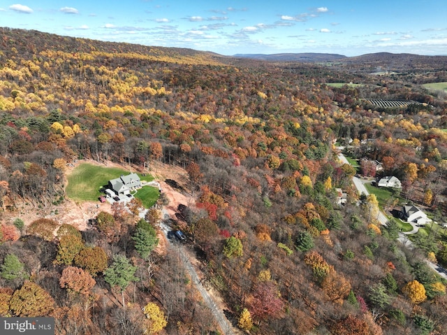 view of drone / aerial view