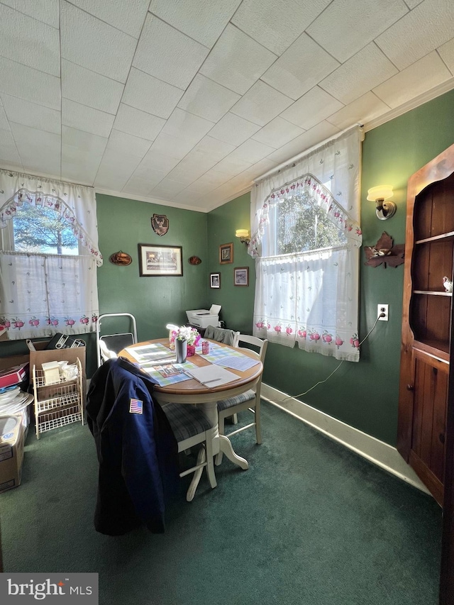 dining room with a healthy amount of sunlight and dark colored carpet