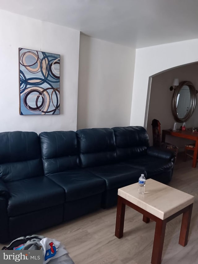 living room featuring light wood-type flooring