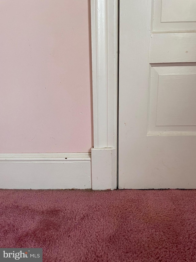 room details featuring carpet