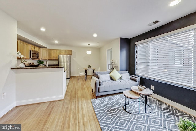 living room with light hardwood / wood-style floors