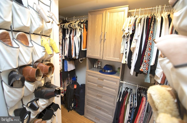 spacious closet featuring hardwood / wood-style flooring