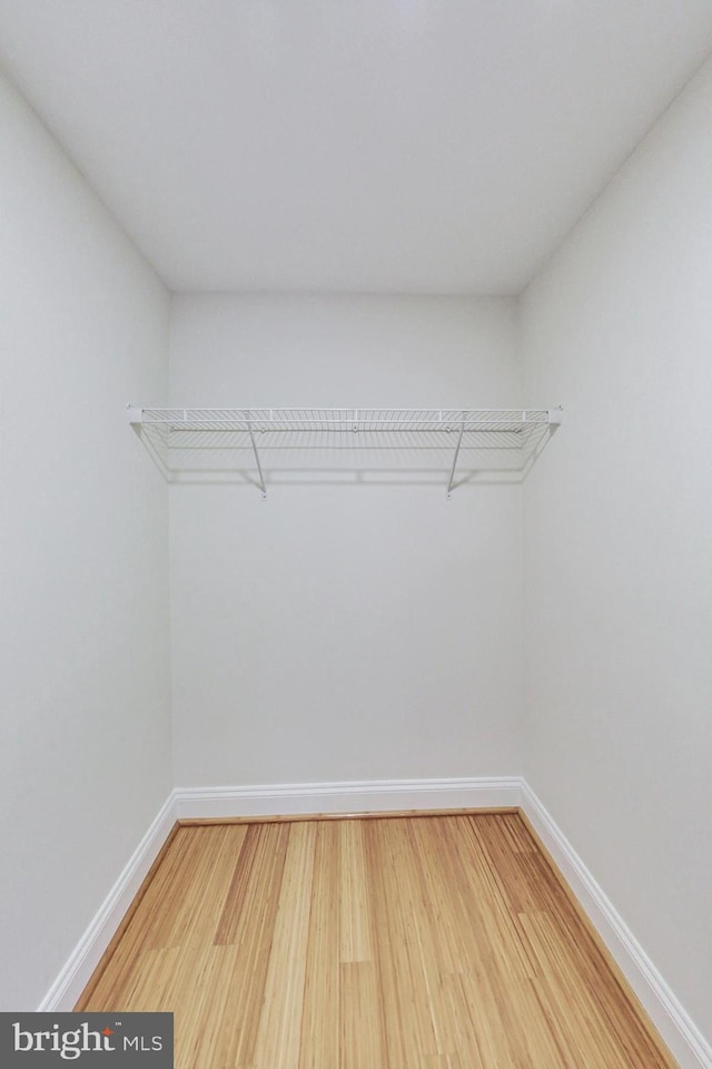 spacious closet with wood-type flooring