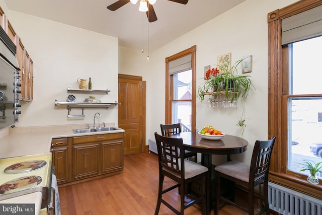 dining area with sink, radiator, ceiling fan, and light hardwood / wood-style floors