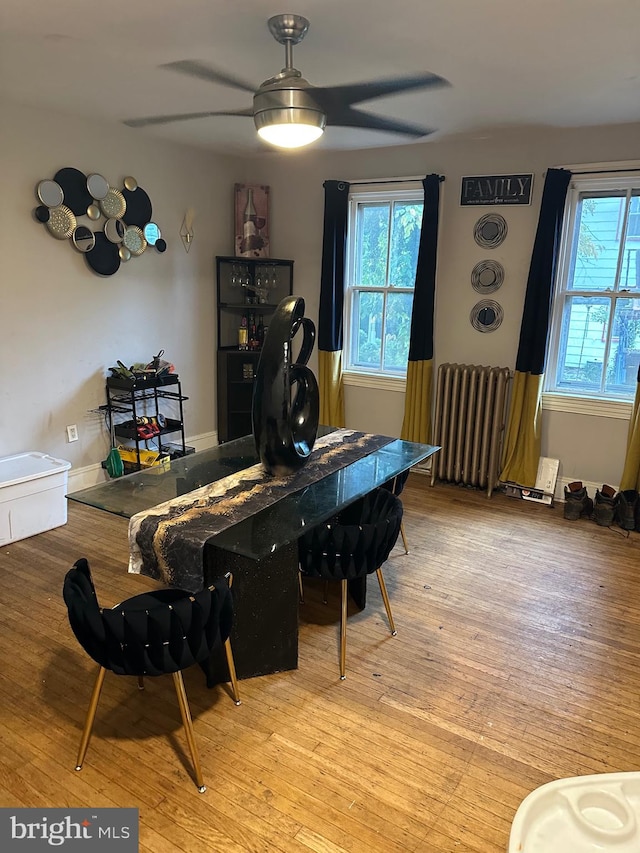 dining room with ceiling fan, light hardwood / wood-style floors, and radiator heating unit