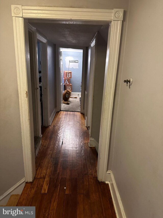 corridor featuring dark wood-type flooring