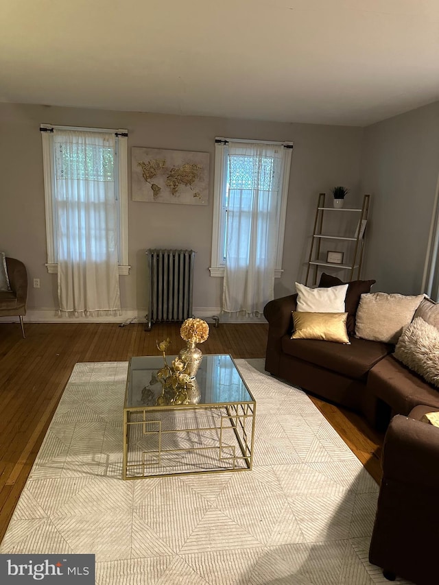 living room featuring radiator and hardwood / wood-style floors