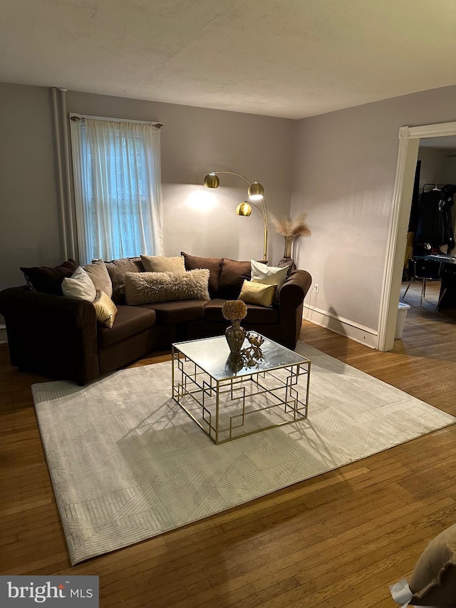 living room featuring hardwood / wood-style flooring