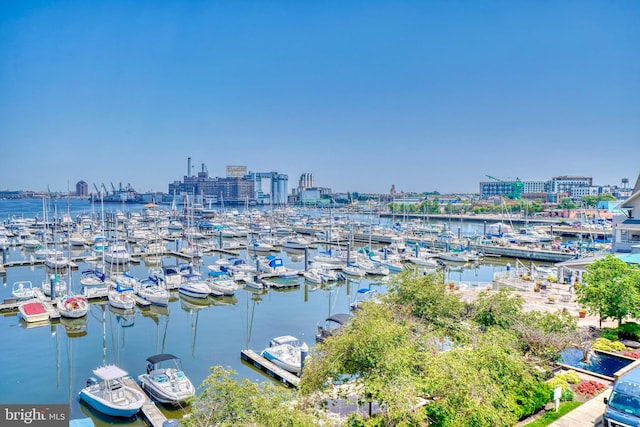 property view of water with a boat dock