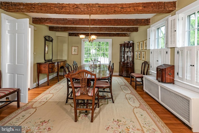 dining space featuring an inviting chandelier, wood-type flooring, radiator, and beamed ceiling